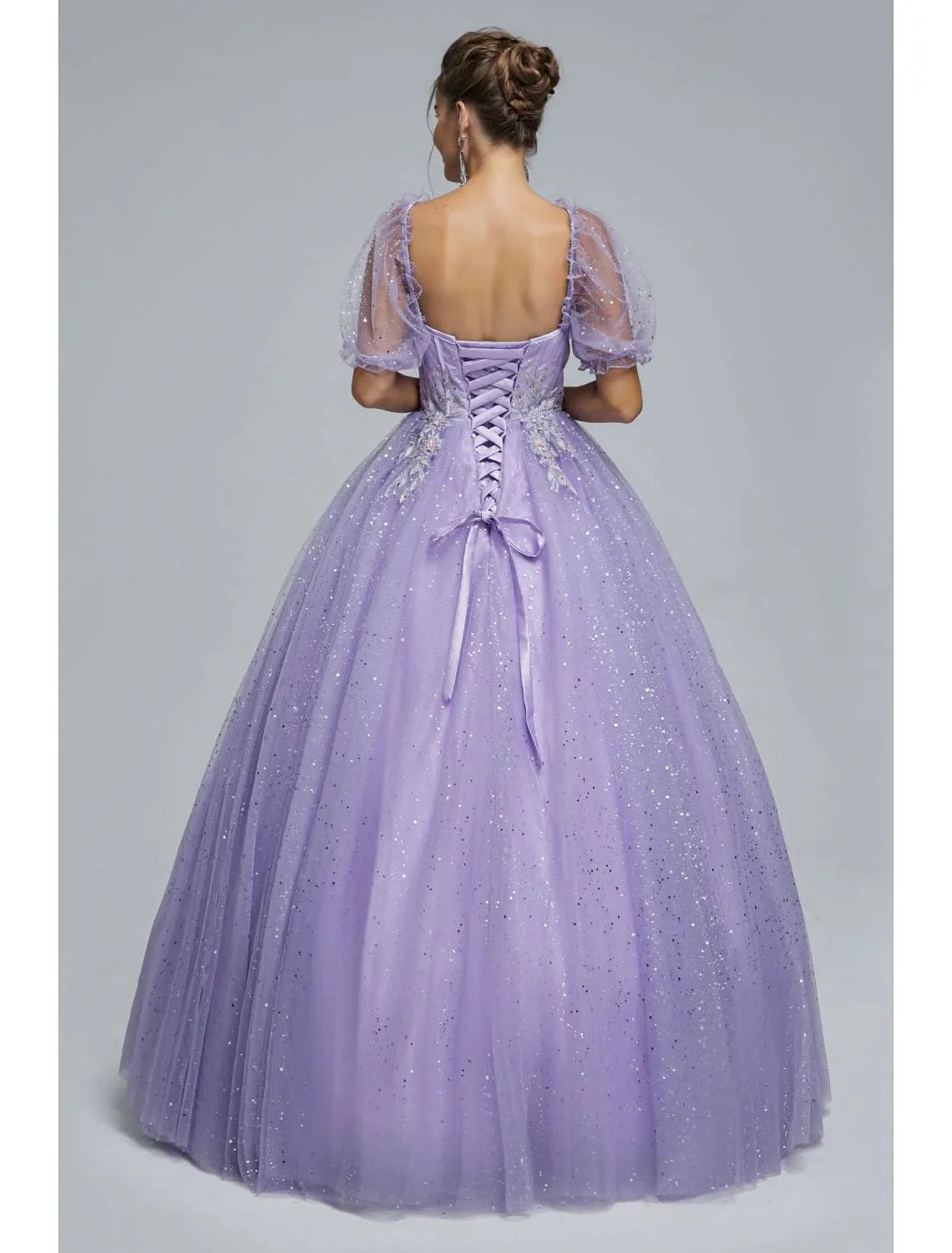 Ball Gown Prom Dresses Princess Dress Graduation Quinceanera Floor Length Short Sleeve Sweetheart Tulle with Sequin Appliques